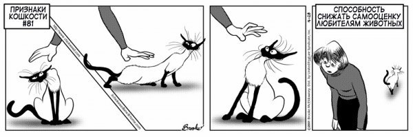 Наш ответ хвостатым