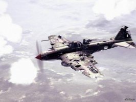 Эхо войны: пробиты, но не повержены