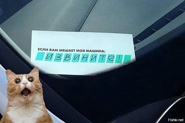 Порция стандартного деграюмора