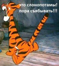 Фермеры наткнулись на останки древнего «слона»