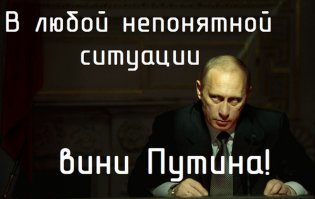 Британский город атаковали полчища огромных крыс