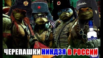 Европейские черепахи поселились в химкинском пруду