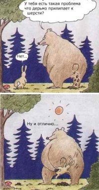 Медведь и заяц: взаимовыгодное сотрудничество