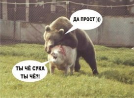 Олень и галка: взаимовыгодное сотрудничество