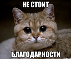 Убийство черных дельфинов в Дании