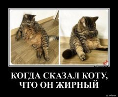 Когда все думают, что ты рисуешь какую-то хрень, а на самом деле реалистичных котов