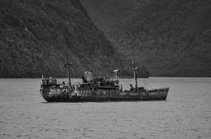 Вот пару моих