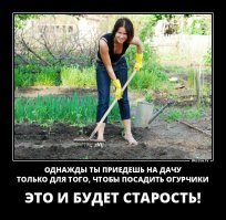 Окрошка