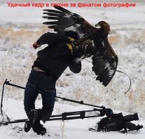 За хороший кадр способны на все!