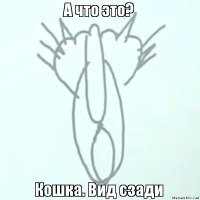 Когда все думают, что ты рисуешь какую-то хрень, а на самом деле реалистичных котов