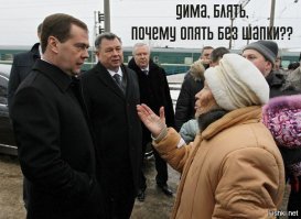 Олень и галка: взаимовыгодное сотрудничество