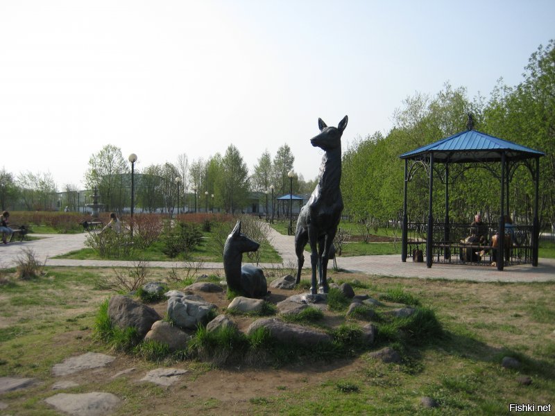 Камчатские пейзажи