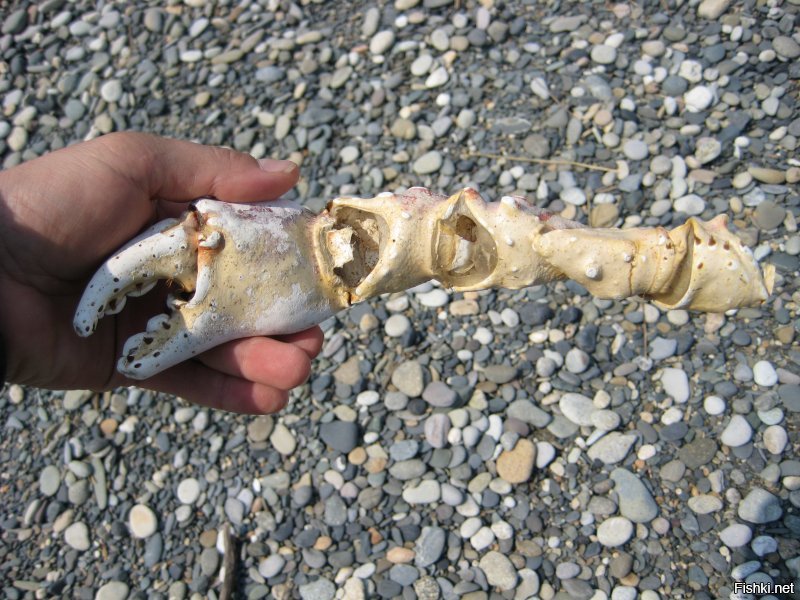 Камчатские пейзажи