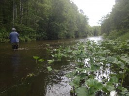 когда мне было лет 8 , мой отец научил меня разжигать костер без ничего , научил открывать консервы голыми руками, научил выбирать место и обустраивать его для ночлега. научил меня рыбачить имея только крючёк  6 . как добыть зверя имея только кусок колючей проволоки
отец никогда не брал в лес топор . брал маленькую пилу и огромный самодельный нож. 
сейчас учу сына с дочерью . увожу их в лес на месяц каждый год. хотя сейчас  в лес беру много ненужного хлама .
фотки мои. сделаны на северном урале.