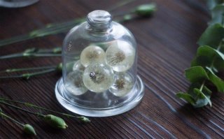 Здесь только половинка шарика. Как из этого целый шарик сделать? Еще одну половинку приклеивают? На других фотографиях шарики целые.