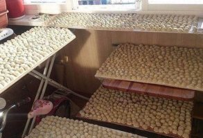 только это одобряю