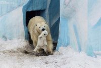 Домой, кому сказала!..