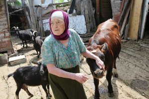 Без бабок не пускают.