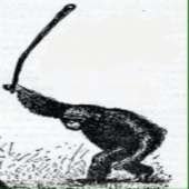 В Эфиопии футболисты вместе с тренером избили судью во время матча