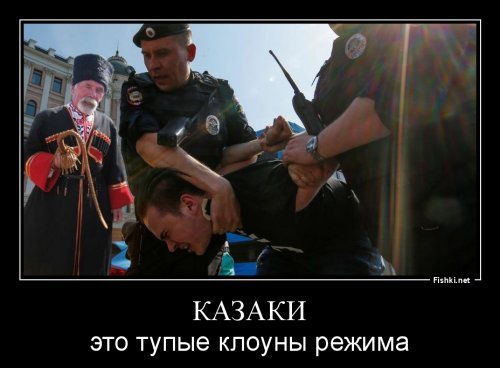 В Москве задержаны 703 человека, среди них мог быть Жириновский
