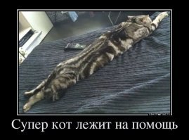 Свежая подборка демотиваторов, которые поднимут вам настроение