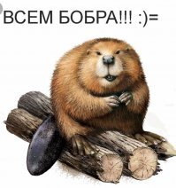 Везунчик. О том, кто в рубашке родился