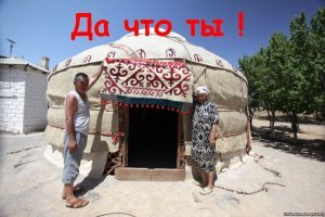 Смешные картинки с надписями