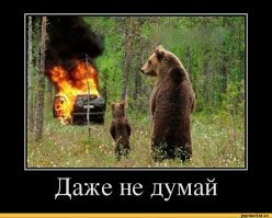 Салон внедорожника Ford, в котором случайно побывал медведь