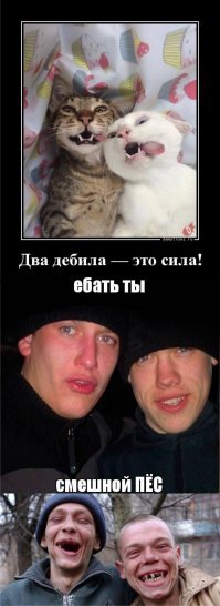 Свежая подборка демотиваторов, которые поднимут вам настроение