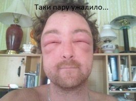 да у нас очень много водителей ездят в субботу и воскресенье с пчелами, а потом в понедельник утром...