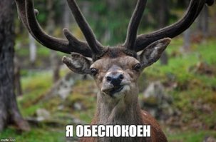 как то так..