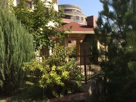 Черное море, Агой.