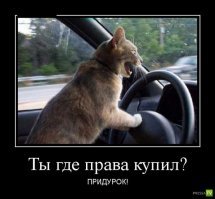 Подборка автомобильных приколов
