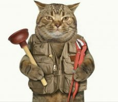 Да тут кота не с лампой вызывать надо, а специализированного.