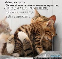 Зверомама