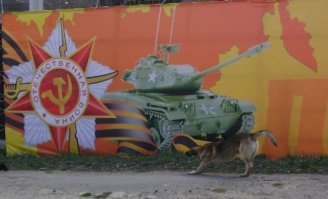 Немного занудства, совершенно не влияющего на суть...

Это не "Першинг" (М26), а M41 "Уокер Бульдог"