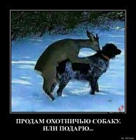 Гениальные идеи, которые позволят заработать ярдище денег