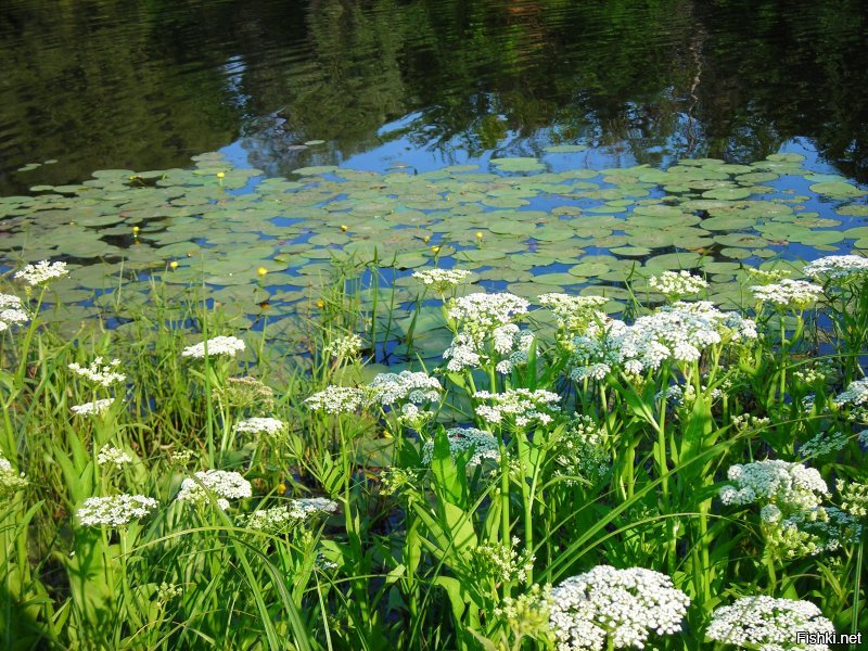 РФ, Самара, Подгоры.