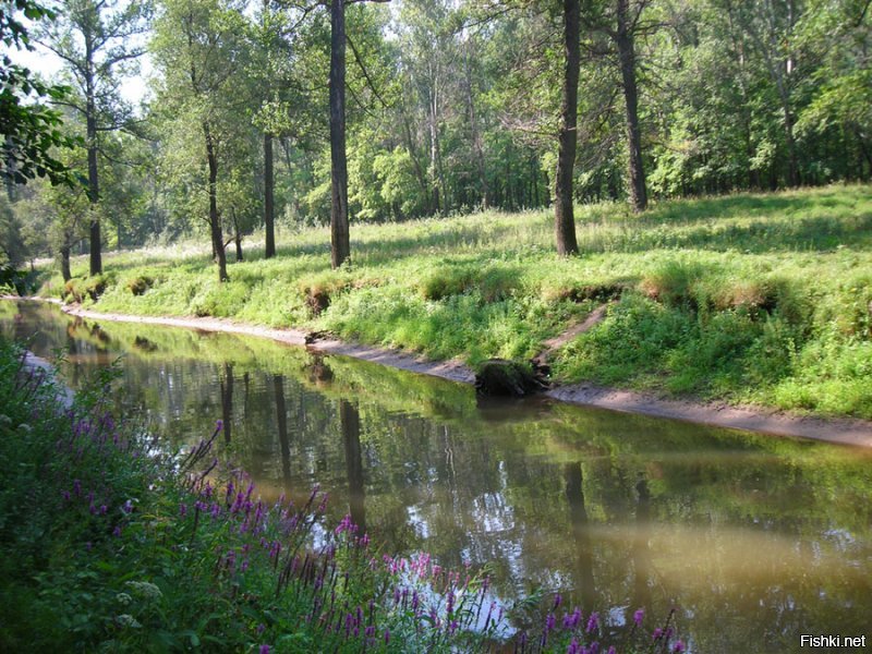 РФ, Самара, Подгоры.