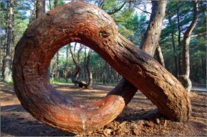 Вот мой, как вы изволили выразиться, Засранск. Точнее Зеленоградск и Куршская коса, которая является уникальным местом. По разнообразию ландшафтовых зон, мало что будет разнообразнее на таком малом пространстве, а уж уникальность самой структуры и экосистемы косы трудно сравнить с чем-либо. Не даром её внесли в объекты, охраняемые ЮНЕСКО. Потому считаю, то В России есть абсолютно уникальные места. Я назвала лишь тот, где живу сама. Но те места из поста распиарены на весь мир, а наши много скромнее, хотя не менее красивы и уникальны.