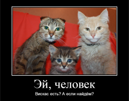 Свежая подборка демотиваторов, которые поднимут вам настроение