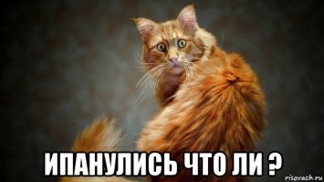 24 абсолютно нелепых предмета одежды, которые только можно купить за деньги