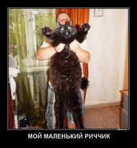 Да ладно байки травить