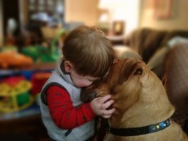 Мимимишность этой подборки просто зашкаливает