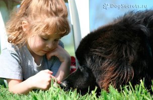 Мимимишность этой подборки просто зашкаливает