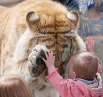 Мимимишность этой подборки просто зашкаливает