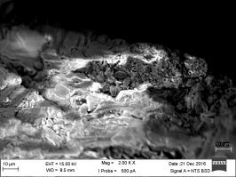 Стоит добавить, что электронный микроскоп выдает ч/б изображение и затем оно раскрашивается.
Доводилось играться с эл. микроскопом - очень круто!
1) Морская песчинка с обитателями - увеличение 2000х;
2) Обитатель длиной 7,4 микрометра - увеличение 10000х.