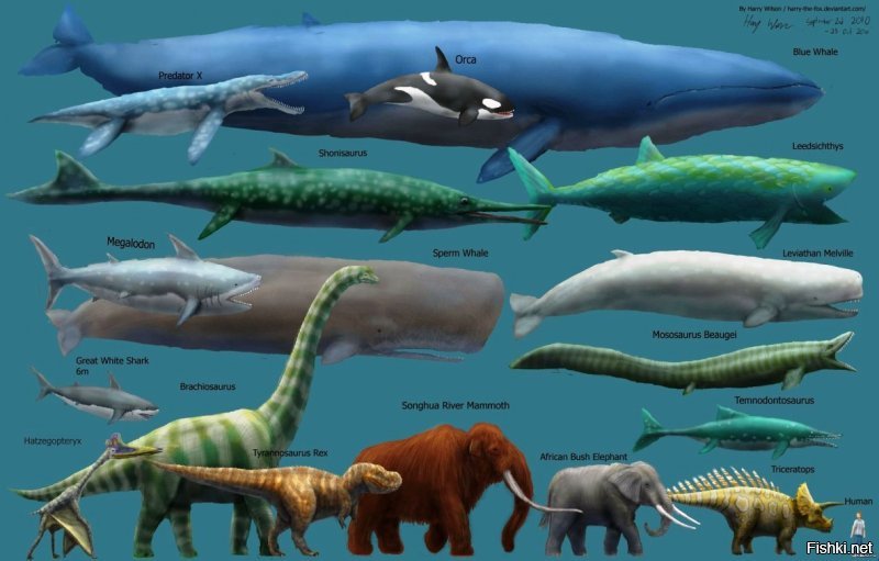 меня терзают смутные сомнения - все живые организмы стали меньше, по сравнению со своими предками. но при этом самым крупным из когда либо живших является синий кит. возможно, ученые просто не все нашли...