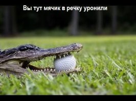 15 странных профессий, за которые платят очень даже реальные деньги