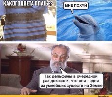 Какого цвета эти кроссовки? Новый спор!